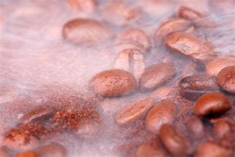 free photo coffee beans abstract objects ingredient free download jooinn