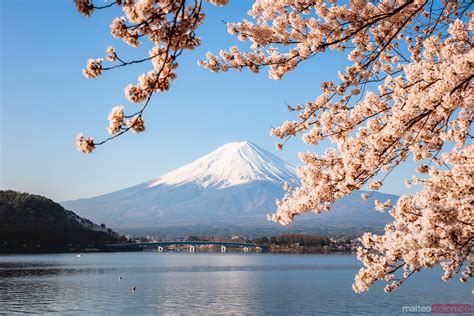 Mount Fuji In Springtime Fuji Five Lakes Japan Royalty Free Image