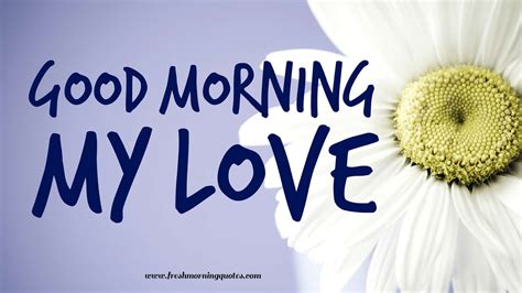 Check spelling or type a new query. 30 Beautiful Good Morning Love Images with Flowers