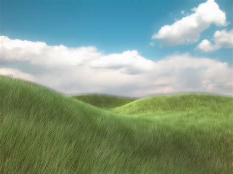 Grassy Meadow By Netsui On Deviantart