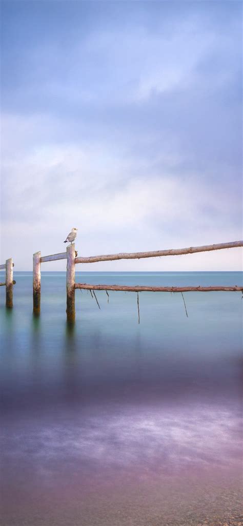 Baltic Sea Seagulls Fence Beach Dusk 828x1792 Iphone 11xr