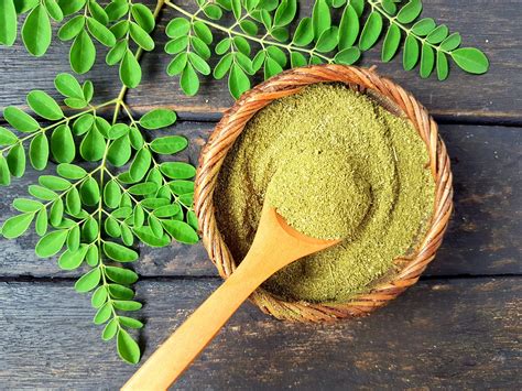 Moringa Healthy Characteristics Uses And Sides Effects Of The