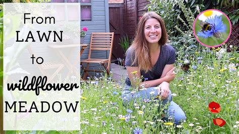 I Planted A Wildflower Meadow 🌼🐝🦋 Amazing Lawn Transformation From