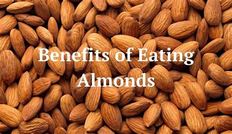 Top 11 Benefits Of Almonds Backed By Science Kashmirica