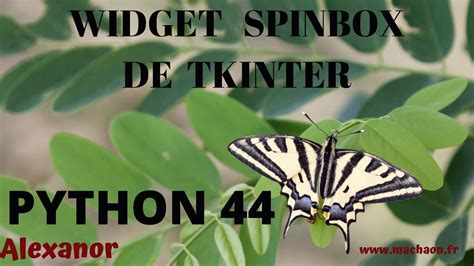 Programmation Python 44 Widget Spinbox De Tkinter Youtube