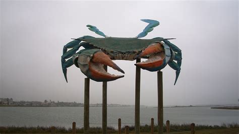World's Largest Blue Crab in Rockport, Texas | Kernut the ...