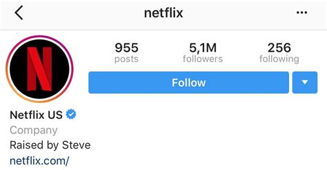 Netflixs Instagram Bio Rstrangerthings