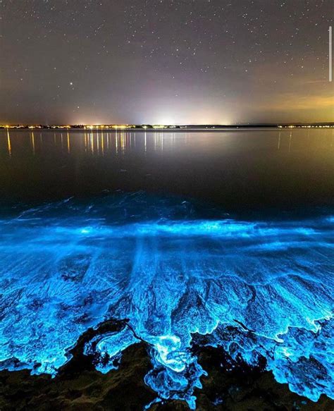 Bioluminescence Algae On Australian Beach Back In April Scrolller