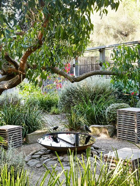Plantlife Peter Shaw Wonderground Australian Garden Design