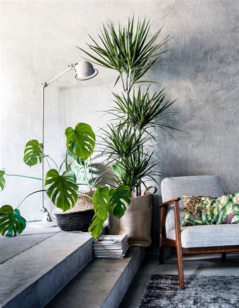 33 Beauty Indoor Plants Decor Ideas For Your Home And Apartment Page 26 Of 35