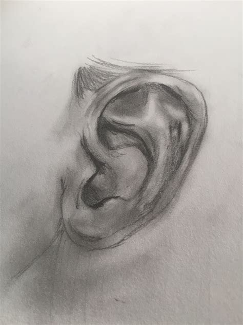 Sketch Drawing Ear Sketch Drawing Idea