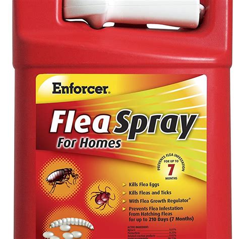 Home Flea Remedies For Carpet