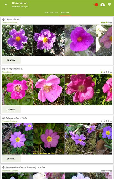 But the app lends itself to basic use too by listing the common names. PlantNet Plant Identification - Android Apps on Google Play