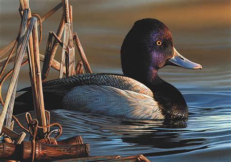 2020 Federal Duck Stamp Art Contest Winner Announced