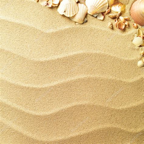 Sea Shells With Sand As Background Stock Photo By ©smaglov 7676864