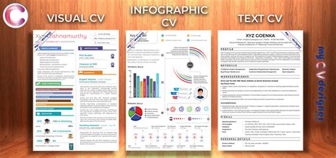 Text Vs Visual Vs Infographic Resume Which One To Use My Cv Designer