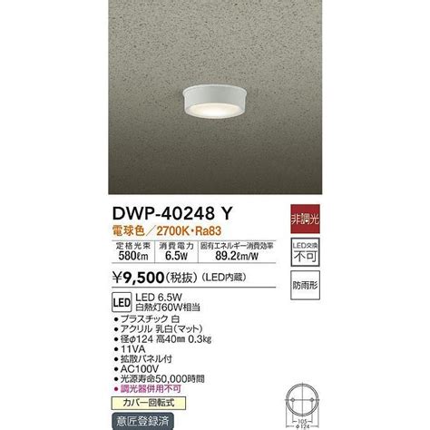 大光電機 DAIKO DWP 40248Y アウトドア 軒下シーリング LED内蔵 非調光 電球色 防雨形 拡散パネル付 dwp