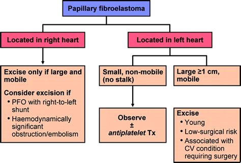 Cardiac Tumours Diagnosis And Management Heart
