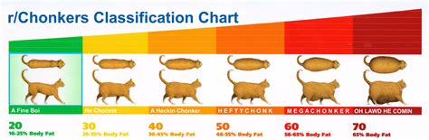Heres A Chart To Help Classify Your Chonker Uordinary Emu 9155