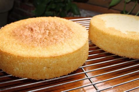 Vanilla Sponge Cake Recipe | Sponge cake recipes, Best vanilla sponge