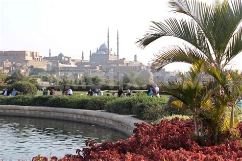 حوار مع خبير المناعة البروفيسور المغربي البشير بن محمد حول مشروع لقاحه المضاد لجميع أنواع الفيروسات الكورونية حديقة الازهر بالقاهرة - العرب المسافرون