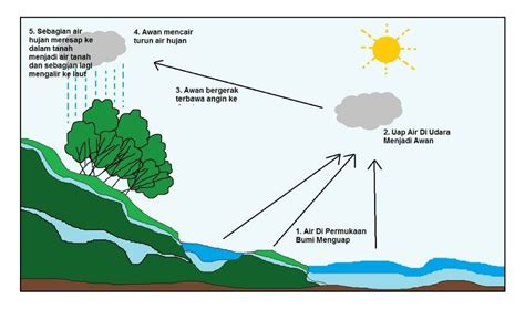 Siklus Air Tanah Peristiwa Urutan Peristiwa Siklus Air Dalam Diagram Alir Kunci Jawaban