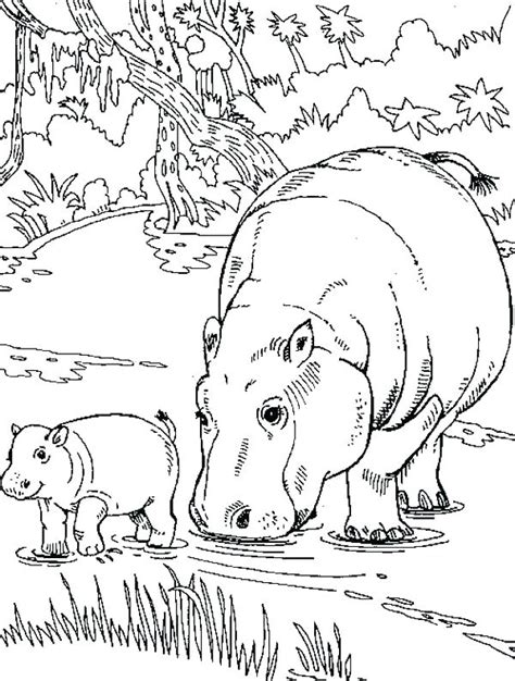 Free hungry lizard coloring pages to download or print, including many other related lizard coloring page you may like. Baby Hippo Coloring Pages at GetColorings.com | Free ...