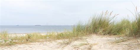 Beach Near Swinoujscie On The Island Of Usedom On The Polish Baltic Coast Stock Image Image Of