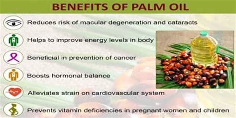 Things have to be discussed on side effects. Benefits and Uses of Palm Oil - Assignment Point