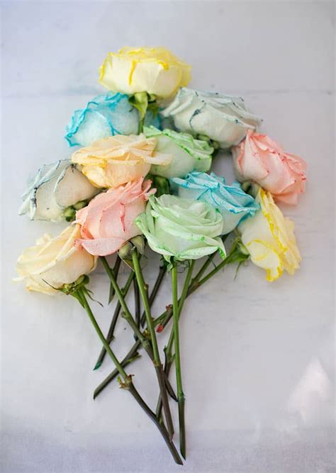 Oval beads look like gems or emeralds. How To Dye Flowers Rainbow - Create Multicolored Roses