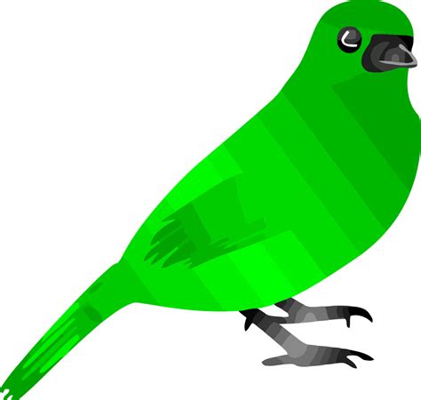 Clipart Bird Green Clipart Bird Green Transparent Free For Download On