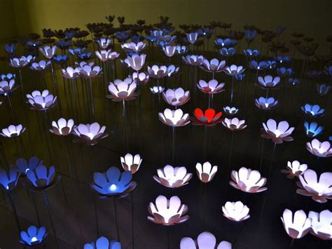 May Von Krogh Porcelain Flowers Art Inspiration Light