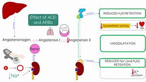 Ace Inhibitors Vs Arbs For Primary Hypertension Sexiezpicz Web 