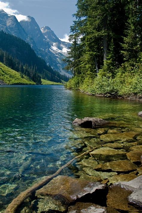 Nature Wallpaper for Phone - WallpaperSafari Choose from hundreds of free nature wallpapers.