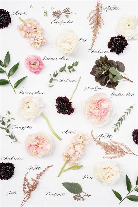 Chart Types Of Bouquet Flowers