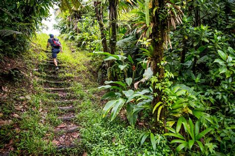 the best caribbean hiking experiences dominica