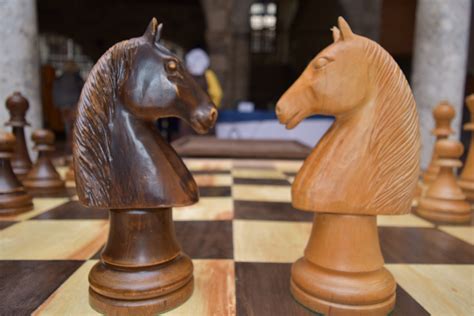 Free Images Recreation Horse Board Game Sculpture Chess Carving