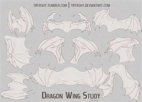 Dragon Wing Studytutorial By Tiffashy On Deviantart In 2023 Wings