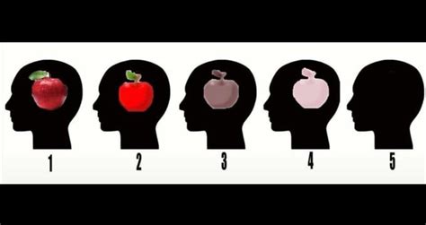 The Apple Visualization Exercise Chart For Aphantasia Think Of An
