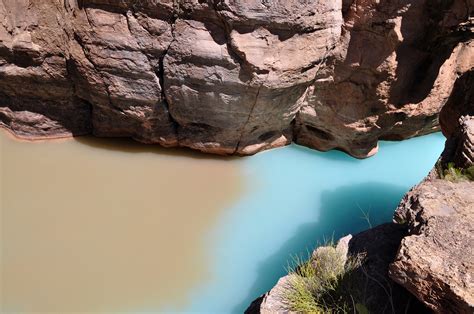 Grand Canyon Mouth Of Havasu Creek 0193 Flickr Photo