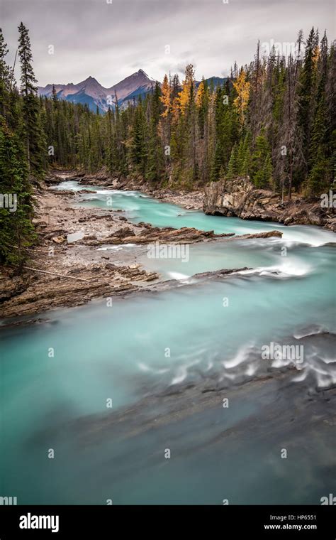 Kicking Horse River At Natural Bridge In Yoho National Park British