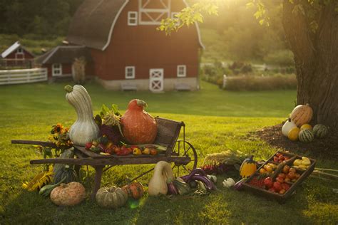 Celebrate Fall At The Harvest Festival — Seed Savers Exchange Blog