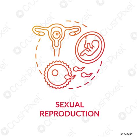 Sexual Reproduction Concept Icon Stock Vector Crushpixel