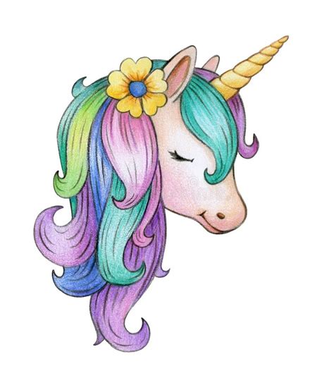 Cute Magic Unicorn Portrait Stock Illustration Illustration Of