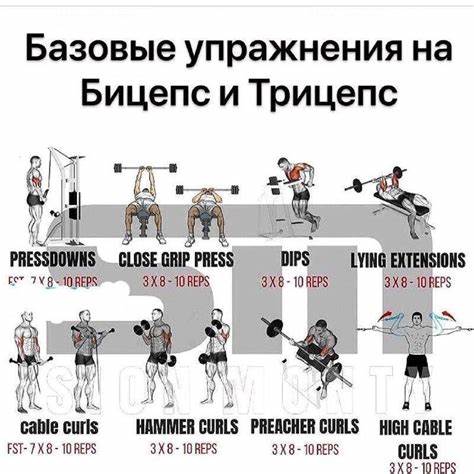 В домашних условиях накачать попу и убрать живот