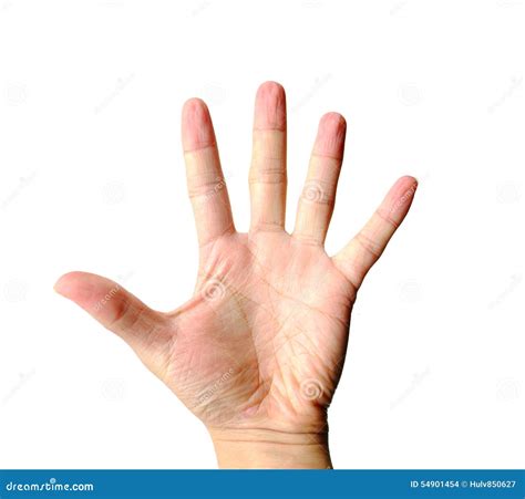 Hand Palm Stock Photo Image Of Isolated Gesture Fist 54901454