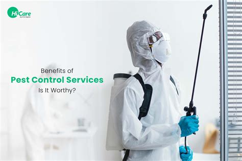 Benefits Of Pest Control Services Is It Worthy