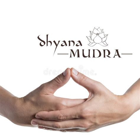 Yogic Hand Position Namaste Anjali Mudra On White Stock Photo Image