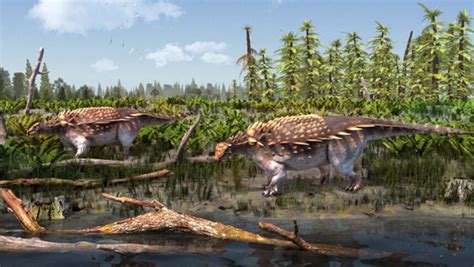Paleontologists Have Discovered A New Species Of Ankylosaur