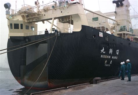 Japanese Whaling Crew Eaten Alive By Killer Whales Story Is Hoax